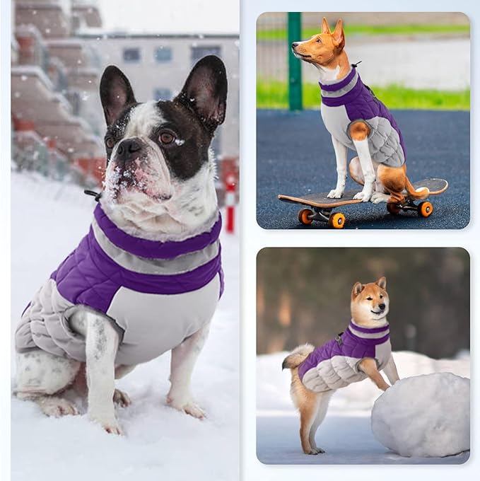 Dog Jackets for Medium Dogs,Medium Dog Coat,Warm Pet Winter Coat Zip Up Back,Waterproof Dogs Jacket with D-Ring,Pet Cold Weather Coats with Fleece Lined, Snowsuit Pug Boston Terrier,Purple,M