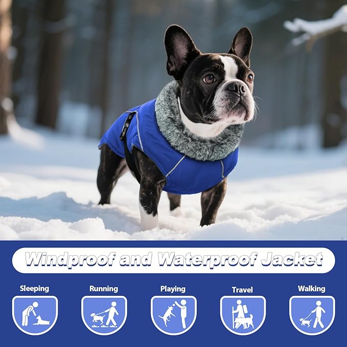 DENTRUN Winter Warm Dog Coat Reflective Jacket with Turtleneck for Cold Weather, Adjustable Buckle Windproof Water Repellent, Thick Snowsuit Fleece Vest for Small, Medium, Large Dogs, Blue, XL