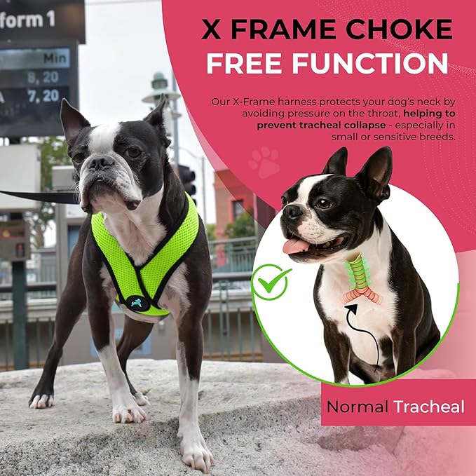 Gooby Comfort X Head In Harness - Green, Large - No Pull Small Dog Harness, Patented Choke-Free X Frame - Perfect on the Go Dog Harness for Medium Dogs No Pull or Small Dogs for Indoor and Outdoor Use
