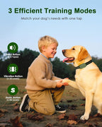 Shock Collar for Dogs, IP67 Waterproof Dog Training Collar with Remote Control, 3 Modes: Beep, Vibration, Safe Static, Rechargeable Adjustable for 15-110lbs Medium Large Dogs