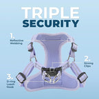 Best Pet Supplies Voyager Adjustable Step-in Flex Breathable Mesh Dog Harness for Small Medium Large Dogs (Lavender), XS