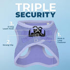 Best Pet Supplies Voyager Step-in Air Harness - All Weather Mesh, Reflective, No Pull Harness for Dogs, Cats - Secure with Hook & Loop Fastener, Buckle, Double D-Rings - Lavender, XXXS