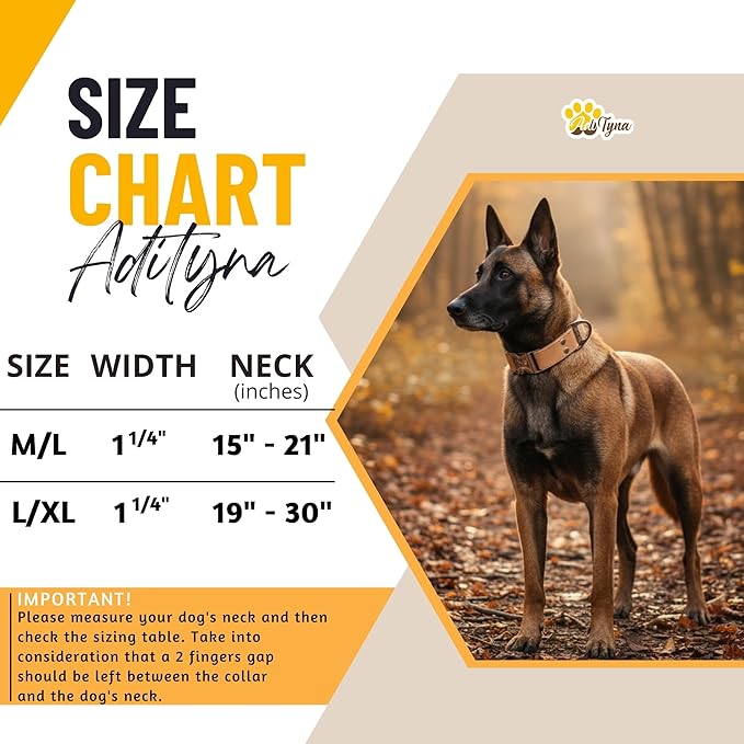 ADITYNA Leather Dog Collar with Metal Buckle - Heavy-Duty, Adjustable for Medium & Large Dogs - Walking, Training, Hiking (CamelBrown, Fits 15-21" Necks)