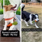 MewaJump Dog Squeaky Chew Toys for Aggressive Chewers, Easter Toys Rubber Carrot Dog Toys for Training and Cleaning, Durable Interactive Tough Dog Toy for Puppy Medium Dogs