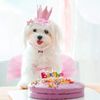 Dog Birthday Outfit Pink Tutu Dogs Birthday Party Supplies Dog Birthday Hat Necklace and Bowtie Hairpin for Dogs (16-23 inch Wrist)