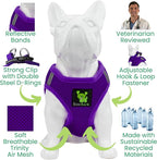 EcoBark Rapid Fastener Super Comfort Fully Adjustable Double Padded Step in Dog Harness (XXS, Purple)