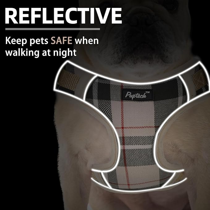PUPTECK Small Dog Harness and Leash Set, No Pull Adjustable Puppy Cat Harness, Reflective Soft Mesh Pet Vest Small Sized, Beige, M