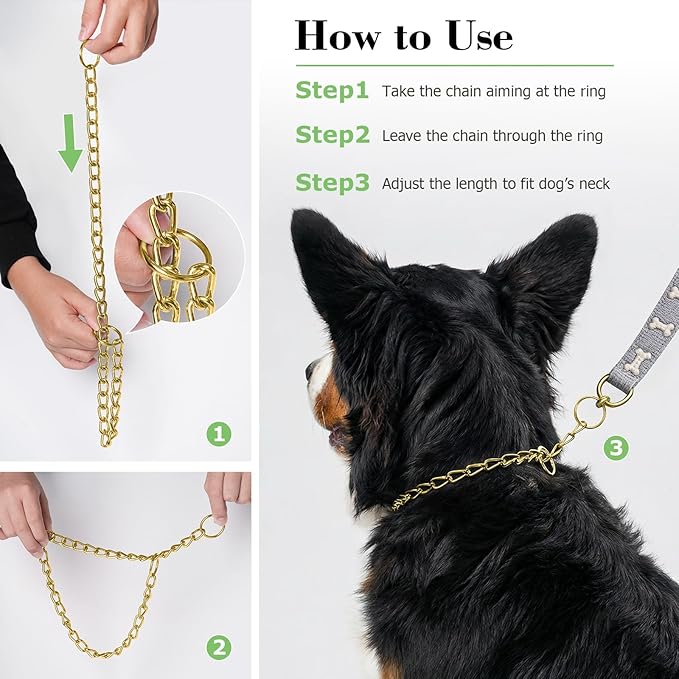 Dog Chain Collars, Metal Slip Link Training Heavy Duty Dog Choker Collar Martingale Puppy Collars for XS Small Medium Large Big XL Breed Dogs (Gold, XL(Neck Max 22inch) D4.0mm)