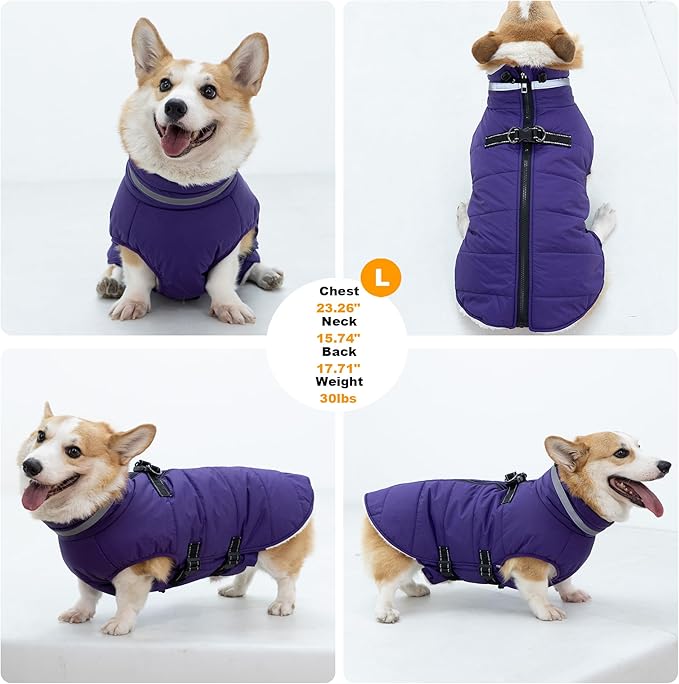 Mklhgty Large Dog Coat with Harness Built-in, Waterproof Reflective Fleece Lined - Warm Windproof Winter Jacket with Back Zipper, Cold Weather Snow Dog Coats - Purple - 2XL