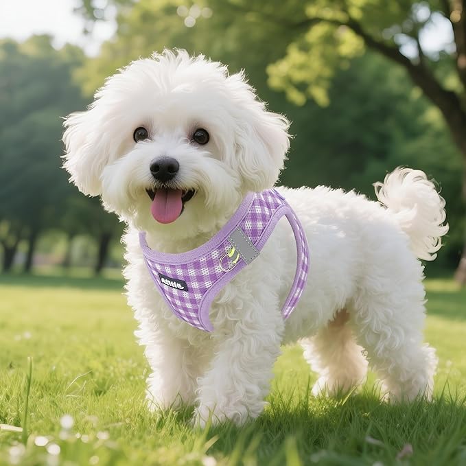AIITLE Plaid Print Dog Harness Set – Lightweight, Reflective & Adjustable Vest Harness for Puppies – Perfect for Boston Terriers, Maltese & Indoor/Outdoor Use (XS, Purple)