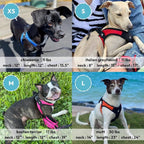 Gooby Escape Free Easy Fit Harness - Red, Medium - No Pull Step-in Patented Small Dog Harness with Quick Release Buckle - Perfect On The Go No Pull Harness for Small Dogs or Medium Dog Harness