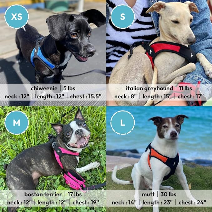 Gooby Escape Free Easy Fit Harness - Black, X-Small No Pull Step-in Patented Small Dog with Quick Release Buckle Perfect On The Go for Dogs or Medium (04602-BLK-XS)