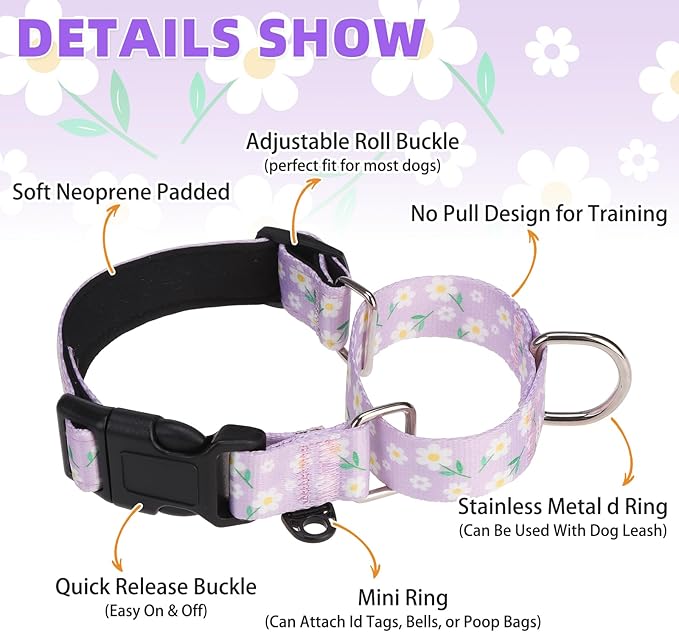 KOOLTAIL Martingale Collar for Dogs for Small Medium Large Dogs, Soft Padded Nylon No Pull Dog Collar with Buckle, Adjustable No Slip Heavy Duty Durable Puppy Training Collar for Boys Girls, Purple M