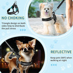 SlowTon No Pull Small Dog Harness and Leash Set, Puppy Soft Vest Harness Neck & Chest Adjustable, Reflective Lightweight Harness & Anti-Twist Pet Lead Combo for Small Medium Dogs (Black, S)