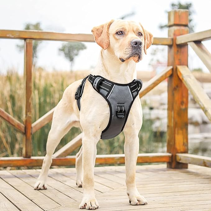 HEELE Dog Harness, No Pull Adjustable Padded Reflective Harness for Small Medium Large Dogs with Handle for Walking Training, Grey, XL