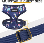 SCENEREAL Small Dog Harness Collar and Leash Set, Adjustable No Pull Pet Harnesses, No Chock Soft Mesh Vest for Doggie Puppy Medium Dogs Cats Girl or Boy,Chihuahua, Yorkie, Outdoor Walking