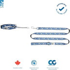 Training Collar | Large, Sante Fe