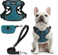 PUPTECK Dog Harness and Leash Set Small Sized, Step in No Pull Adjustable Puppy Cat Harness Reflective Pet Vest