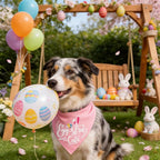 Easter 2-in-1 Dog Bandana with Egg-Stra Cute & Some Bunny Love Me Lovely Saying, Pink Pet Holiday Costumes Scarf with Snap Button, Small to Medium Breeds (5-30lbs)