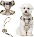 PUPTECK Small Dog Harness and Leash Set, No Pull Adjustable Puppy Cat Harness, Reflective Soft Mesh Pet Vest Small Sized, Beige, M
