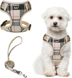 PUPTECK Small Dog Harness and Leash Set, No Pull Adjustable Puppy Cat Harness, Reflective Soft Mesh Pet Vest Small Sized, Beige, M