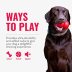 KONG Ring - Natural Rubber Ring Toy for Healthy Chewing Habits - Chew Toy Supports Dog Dental Health - Dog Toy Supports Instincts During Playtime - for Medium/Large Dogs