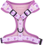 Dog Harness and Leash Set, Adjustable Dog Harness, Dog Leash, No Pull No Choke Puppy Harnesses for Walking Training for Small Medium Pet (Wines, L(Chest 18.5-27.1", Neck 14.5-20.1"))