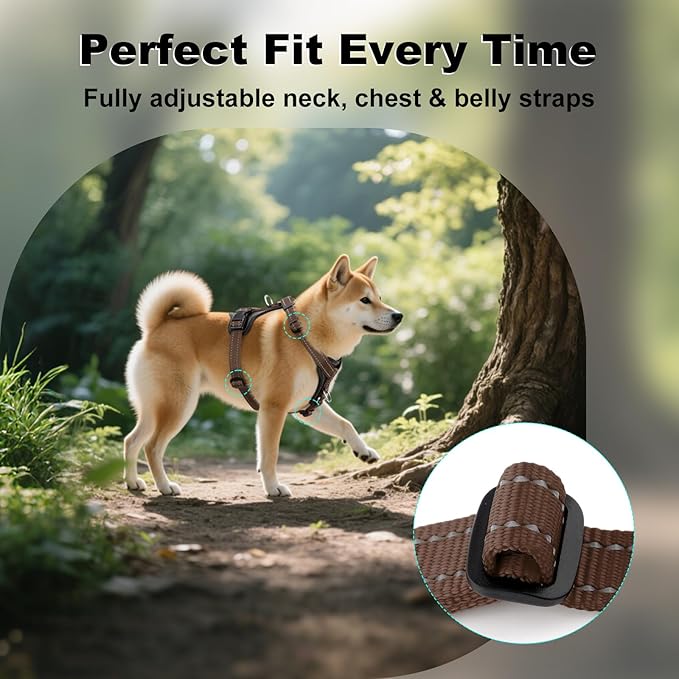 Plutus Pet Adjustable No Pull Dog Harness with Leather Accents, Heavy Duty Reflective Nylon Vest for Training, Hiking, Easy Walk Harness for Small, Medium, Large Dogs (Chocolate, L)