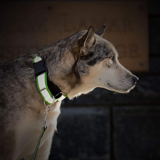 If It Barks - 1.5" Reflective Martingale Collar for Dogs - Adjustable - Made in USA - Strong, Durable, and Comfy - Ideal for Training - Suitable for Most Breeds - Large, Burgundy
