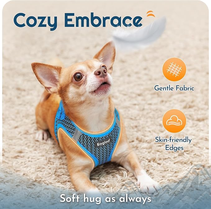 Eagloo Small Dog Harness and Leash Set, Step in Puppy Vest with Breathable Soft Mesh, Walking Reflective Pet Harness for Medium Small Dogs, Blue, L