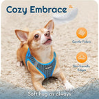 Eagloo Small Dog Harness and Leash Set, Step in Puppy Vest with Breathable Soft Mesh, Walking Reflective Pet Harness for Extra Small Dogs, Blue, XXS