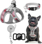 EXPAWLORER Classic Plaid Puppy Harness - Dog Collar and Leash - Soft Mesh Padded Adjustable Step in Small Dog Vest Harness No Pull, Reflective Escape Proof for Outdoor Walking, Grey Small