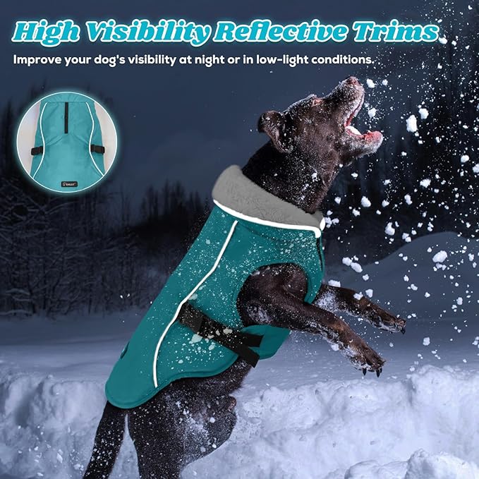 EMUST Dog Coat Winter, Waterproof Pet Snow Jacket for Winter, Adjustable Small/Medium/Large Dog Coat, Turquoise, L