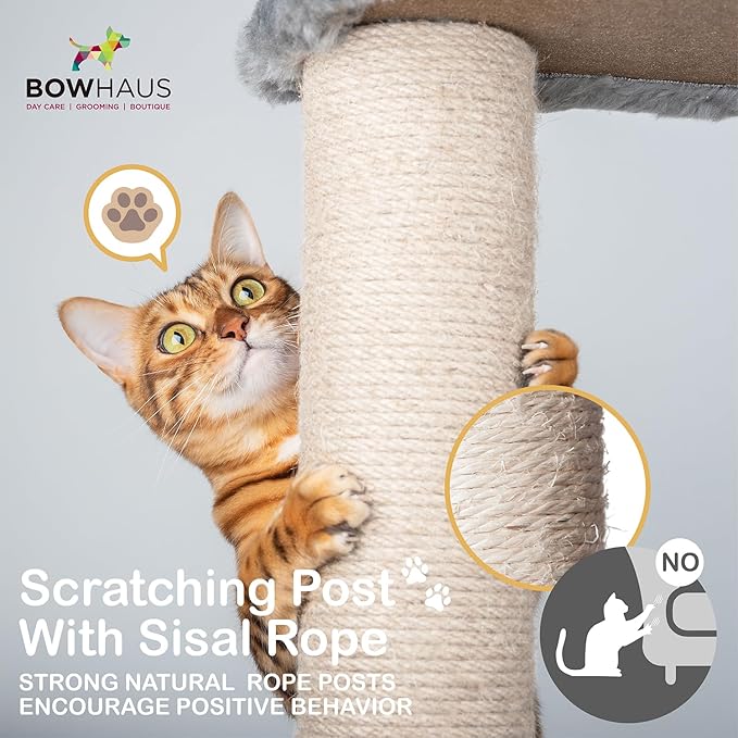 Tall Cat Tree for Indoor Large Cats or Kittens, Multi-Level Cat Activity Tree with Scratching Posts, Hammock, Cat Cave Condo, Modern Cute Small Cat Climbing Tower with Widened Perch