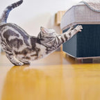 Cat Scratch Furniture Protector Couch Protector from cat Claws Self-Adhesive Carpet remnants Scratching Mat Trimmable DIY Climbing Covering Posts 39.3" x 15.8" Grey