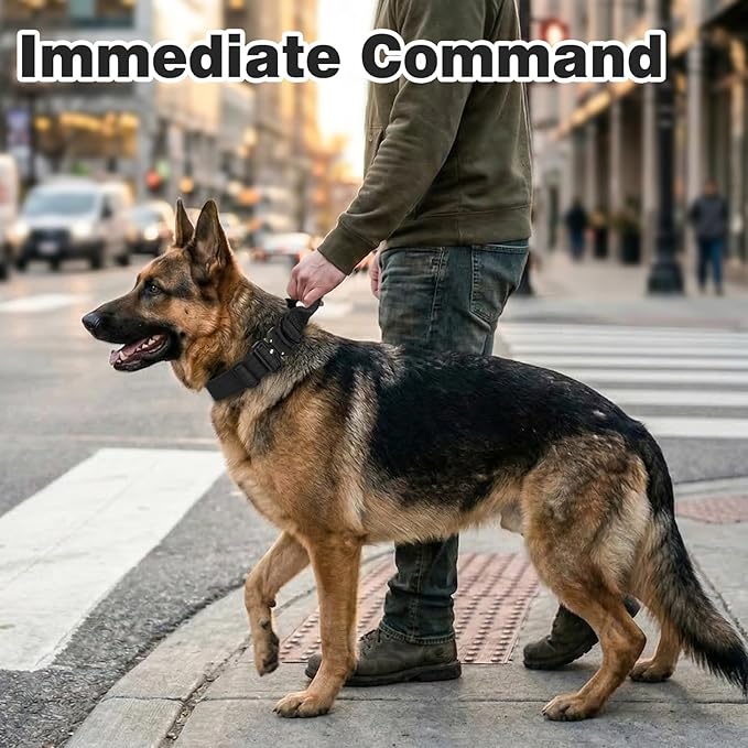 Joytale Tactical Dog Collar for Medium Dogs with Control Handle, Heavy Duty Military Training Collar for Power Breeds, AirTag Holder Case, Quick Release Metal Buckle, Soft Padded, M, Black