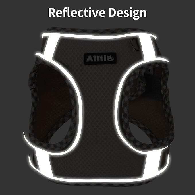 AIITLE Dog Harness and Leash Set - Ultra-Comfortable XXS-XL Vest with Strong Magic Tape & Glow-in-Dark Reflective Strips, Chafe-Free for Teddy, Schnauzer (Blue, M)