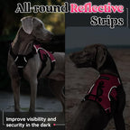 rabbitgoo Escape Proof Dog Harness, Soft Padded Full Body Pet Harness, Reflective Adjustable No Pull Vest with Lift Handle and Leash Clip for Large Dogs Walking Hiking Training, XL, Pink