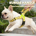 PUPTECK No Pull Dog Harness Small Sized Dog, Adjustable Reflective Pet Vest Harness with Bungee Handle, Escape Proof No Choke Harness for Small Dogs Walking Training, Yellow Bee M