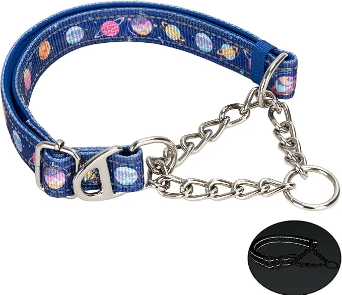 Martingale Training Collar, Anti-Pull No-Slip Adjustable Safe Design, Blue Space Planet Pattern Dog Collar for Medium Large XL Breeds (XL)