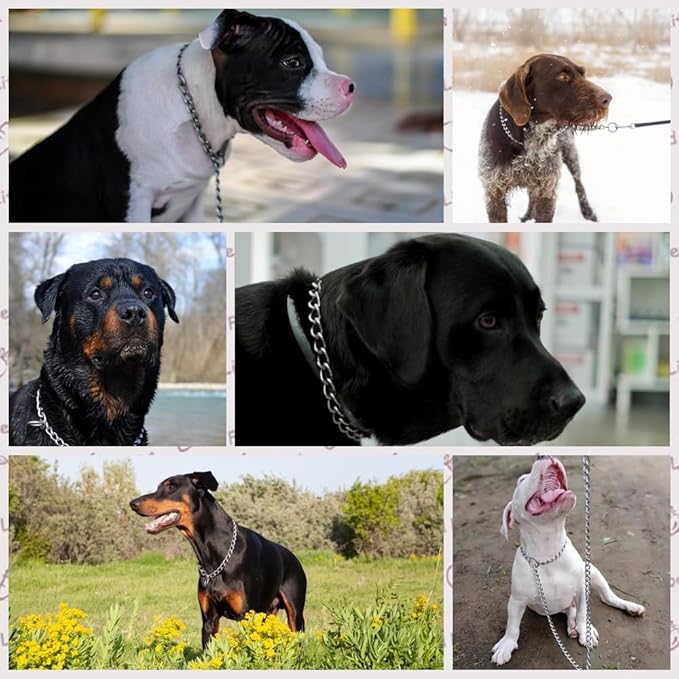 Silver Dog Chain Collars, Metal Slip Chain Collar for Dogs Heavy Duty Training Martingale Collars for XXS XS Extra Small Medium Large Big Breed Pets Dogs Boys Girls