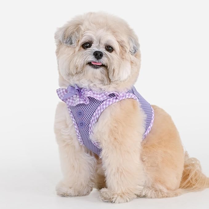 Puppia Vivien Dog Vest Harness B (Step-in) Fashionable Mesh Spring Summer Harness for Small Dogs, Violet, Medium