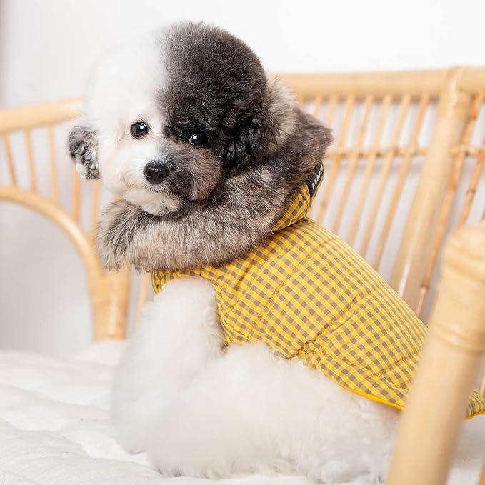 Puppia Hollis Winter Reversible Hooded Winter Dog Coat Warm Comfortable Fashionable for Small and Medium Dogs, Yellow, Large