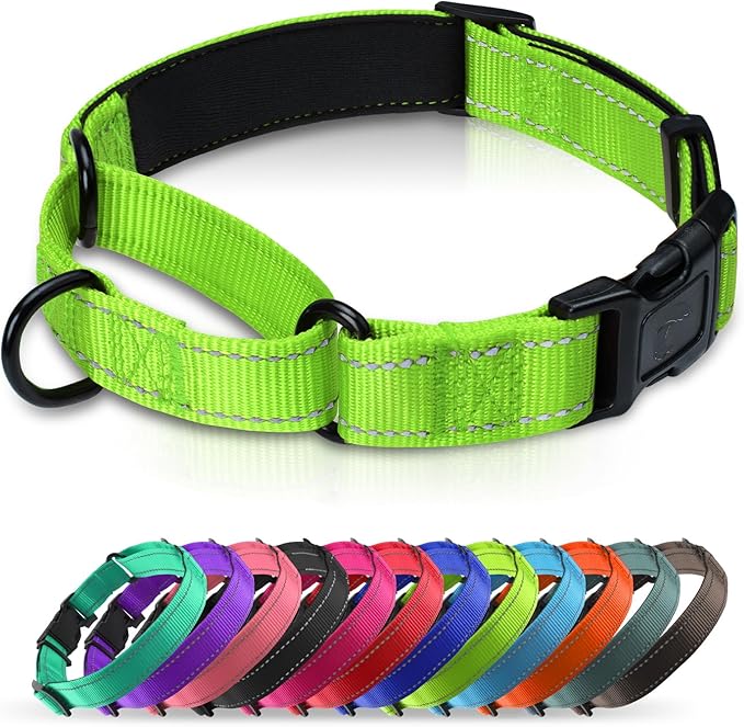 Martingale Collar for Dogs with Quick Release Buckle, Reflective Soft Padded & Escape Proof, Adjustable Nylon Dog Collars for Training & Daily Walking (Green,L)