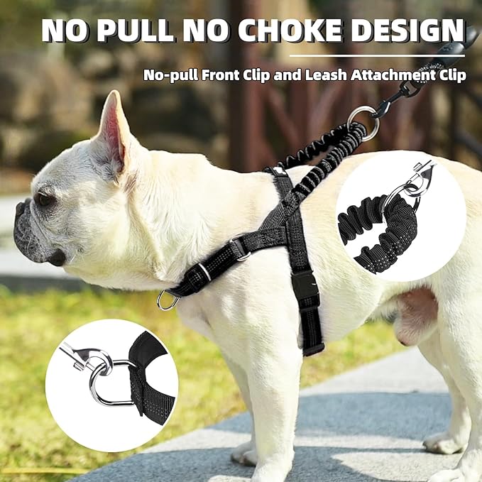 PUPTECK No Pull Dog Harness Small Sized Dog, Adjustable Reflective Pet Vest Harness with Bungee Handle, Escape Proof No Choke Harness for Small Dogs Walking Training, Black S