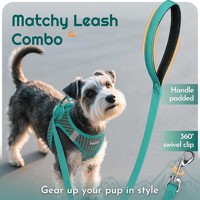 Eagloo Small Dog Harness and Leash Set, Step in Puppy Vest with Breathable Soft Mesh, Walking Reflective Pet Harness for Small Dogs, Forest Green, L