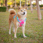 PHOEPET No Pull Dog Harness, Unique Colors Reflective Adjustable Dog Vest, with Soft Training Handle Metal Clips for Small Medium Large Dogs (Pink Base & Green Straps,S)