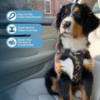 Voyager Step-in Lock Pet Harness - All Weather Mesh, Adjustable Step in Harness for Cats and Dogs by Best Pet Supplies - Army/Black Trim, XS (Pack of 2)