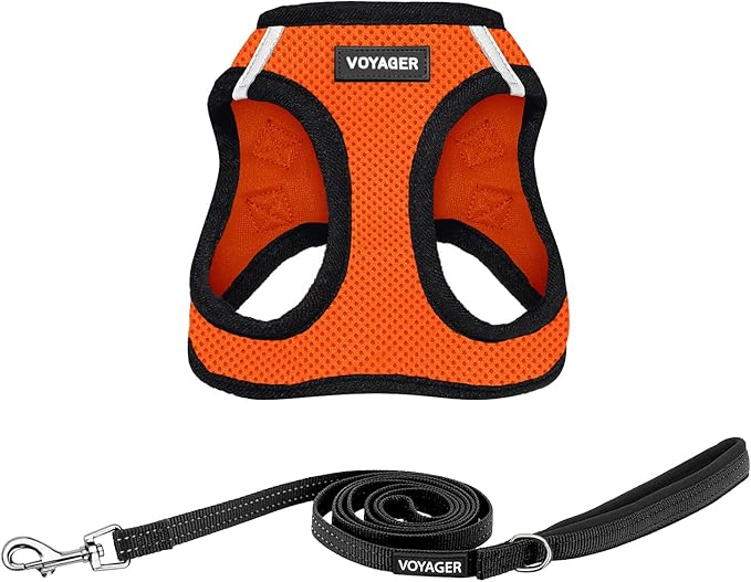 Best Pet Supplies Voyager Step-in Air All Weather Mesh Harness and Reflective Dog 5 ft Leash Combo with Neoprene Handle, for Small, Medium and Large Breed Puppies - Orange/Black Trim, X-Small
