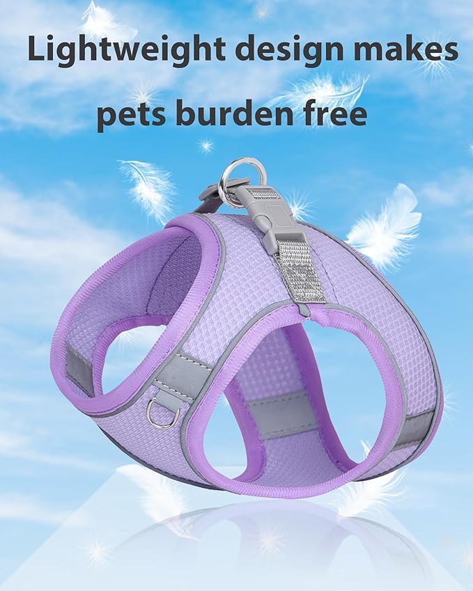 Dog Harness for Small Medium Sized Dog, Step in Puppy Harness and Leash Set Training Walking. (Purple, XXS)